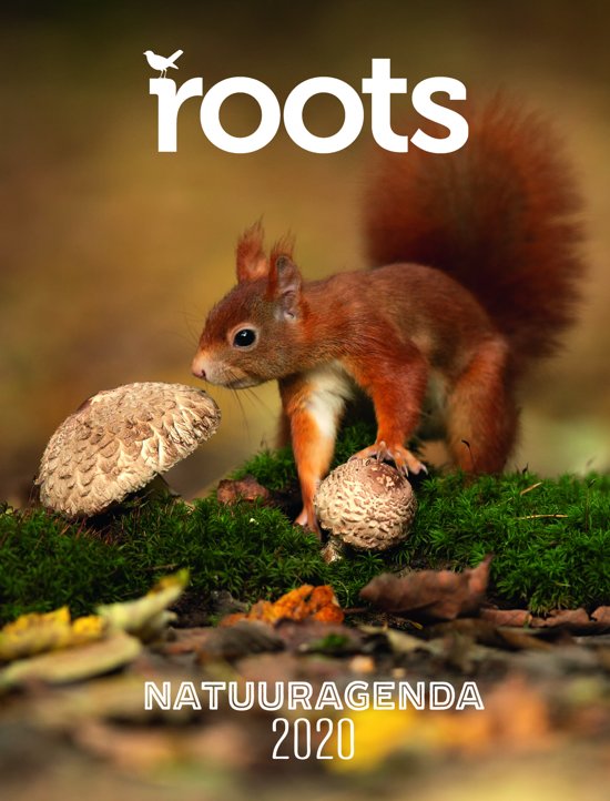 Roots agenda
