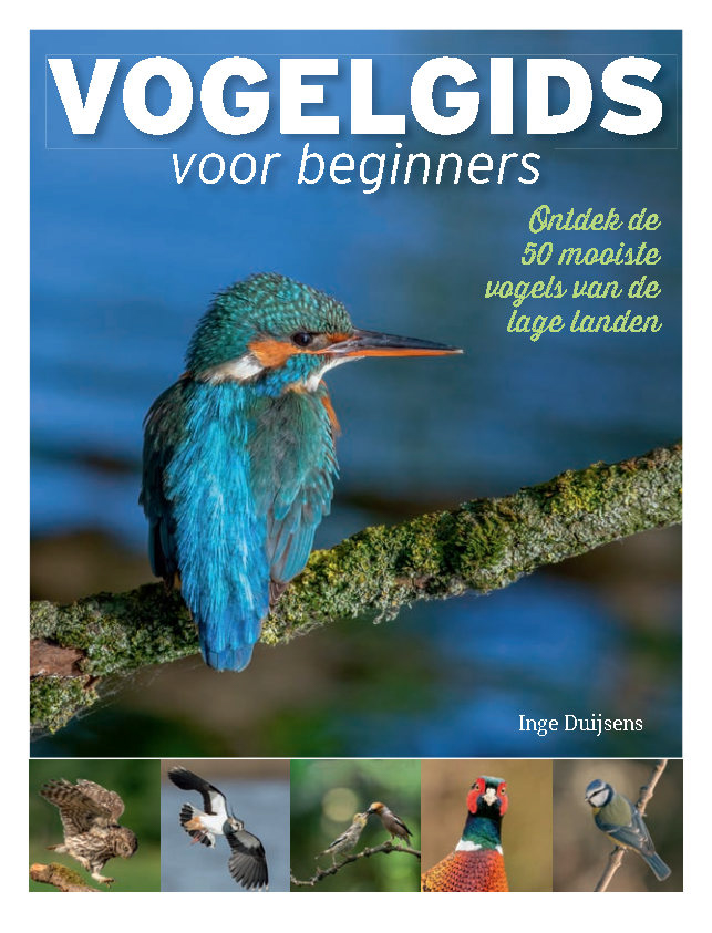 Vogelgids voor beginners