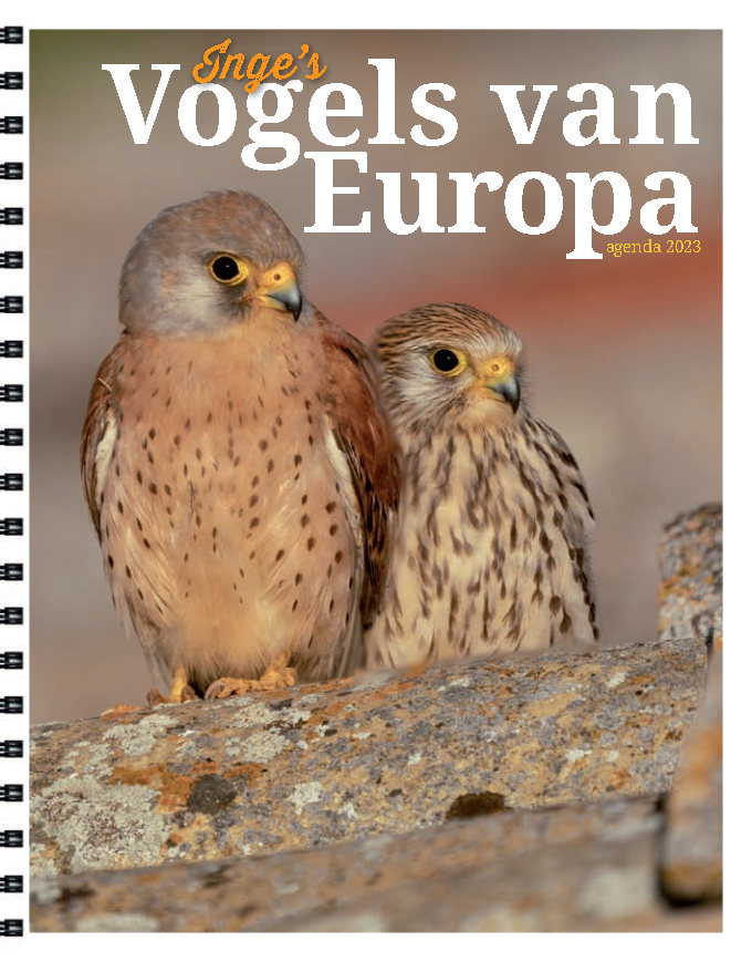 Inge's Vogels van Europa agenda 2023