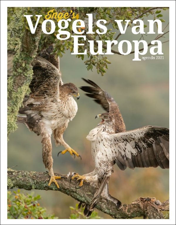 Inge's Vogels van Europa agenda 2021