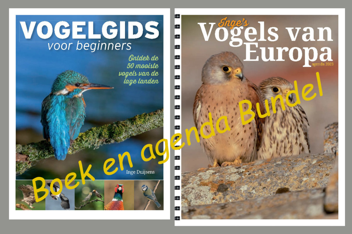 Bundel vogelgids en vogelagenda met korting